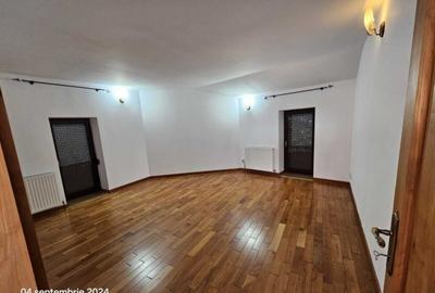 Viila 7 camere Splaiul Unirii - Nerva Traian - 3