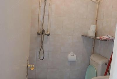 Garsonieră decomandată în Iosefin - 2