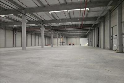 Spatii Industriale - 5000 mp - Logistica - Productie - Depozitare - 7