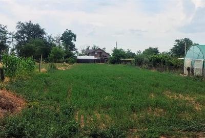 Casa renovata 4 camere cu teren 1800m Smeeni - 21
