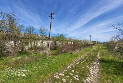 Teren extravilan, 22.5 ha, comuna Maureni - 3