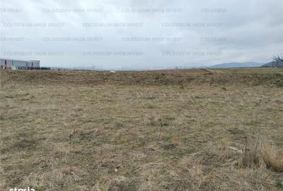 Teren de 5500 mp, în Dârste - 3