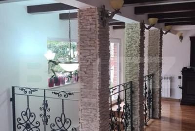 Vila 7 camere, 240mp, 1253mp teren, Fieni - 5