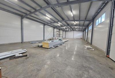 Spațiu comercial, de 1,000 mp, în Lugoj - 3