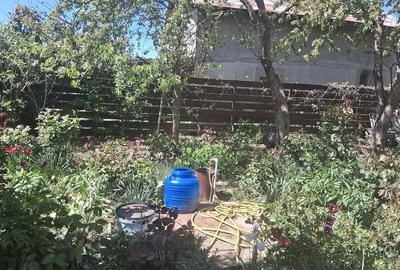 Casă cu 4 camere cu Teren 300 Mp în Berceni - 1