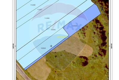 Teren de vanzare Sacele I Brasov - Oportunitate de investitie - 2