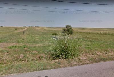 Teren de 3600 mp, în Tarcău - 3