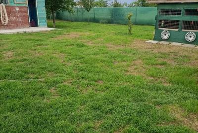 Casă cu 2 camere cu Teren 3868 Mp în Central - 2