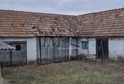 Casă individuală cu 4 camere cu Canalizare în Tărtăria - 6