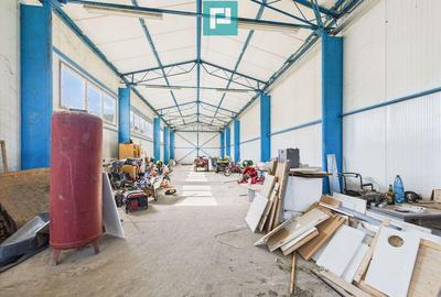 Casă cu 4 camere cu Teren 1510 Mp în Cenad - 5