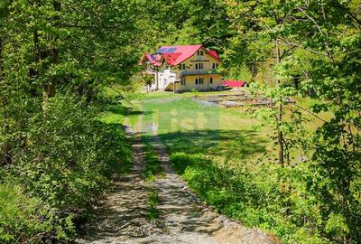 Casă cu 9 camere cu Teren 1029 Mp în Obârșia-Cloșani - 13