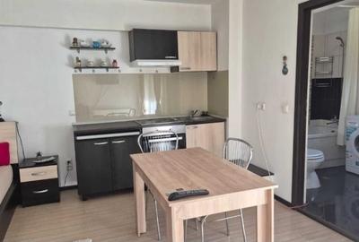 Garsonieră decomandată în Palat - 2