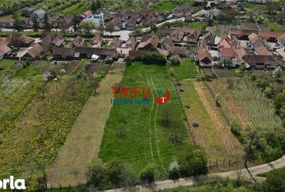 Casă cu 4 camere cu Teren 5000 Mp în Cricău - 2