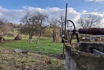 RECO Teren intravilan in Borod, Bihor 1750mp - 10