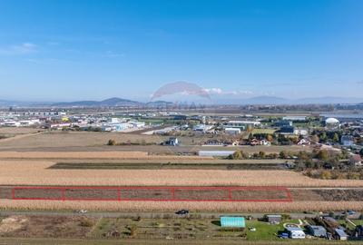 Teren Brasov -Strada Aron Pumnul, 4 loturi X 520 mp, impreuna/ separat - 2