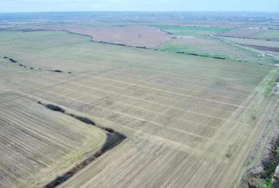 Teren de 540 mp, în Bucovăț (Remetea Mare)