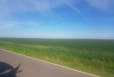 Teren intravilan arabil 55.400 m.p. Vasilati, Jud. Calarasi - 1