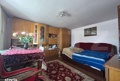 Casă cu 4 camere cu Teren 23850 Mp în Central - 8
