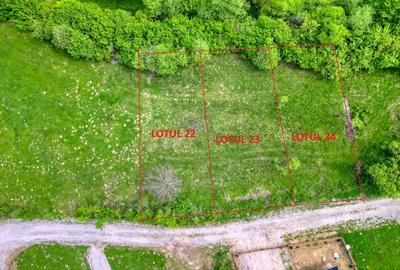 Teren Construcții intravilan de 500 mp, în Tohănița - 9