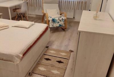 Baba novac dristor ion tuculescu - 3