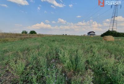 Teren Construcții intravilan de 622 mp, în Chișoda - 10