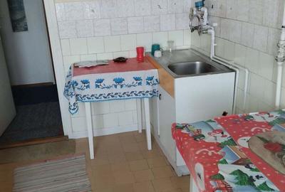 Apartament cu 2 camere decomandat în Luduș - 6