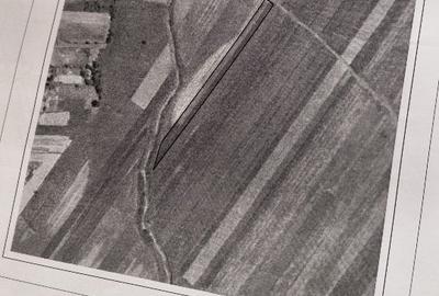 Craiova/Pielesti. Oportunitate! 5 Loturi Foarte Bine Pozitionate - 6