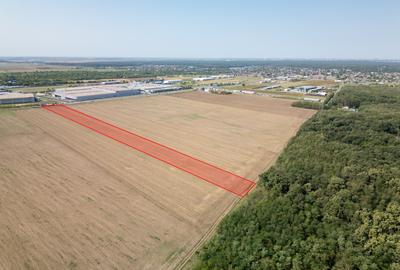 Teren Construcții intravilan de 21500 mp, în Brănești - 8