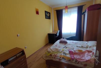Casa individuala pe un singur nivel in Sibiu localitatea Cartisoara - 7