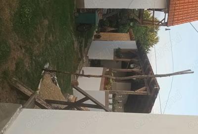 Casă cu 5 camere în Olanu - 3