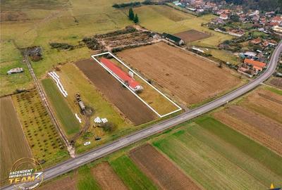 FILM! Ferma de iepuri,Malnas,Covasna: domeniu industrial comercial,asset UE - 2