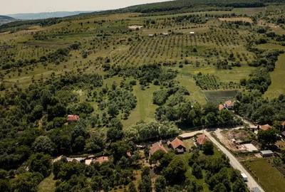 Exclusivitate! Teren pentru investitie - 4