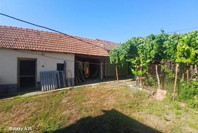 RECO Casa de vanzare in Fegernic cu 2541mp teren - 5