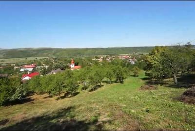 Teren intravilan + extravilan 10.537 mp  casa, livada sau ferma de familie - 6