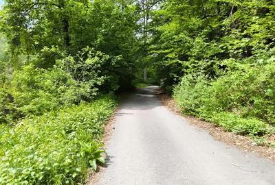 Casă cu 6 camere în Central - 3