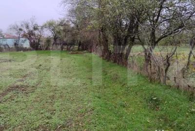 Teren de 3000 mp, în Central - 5