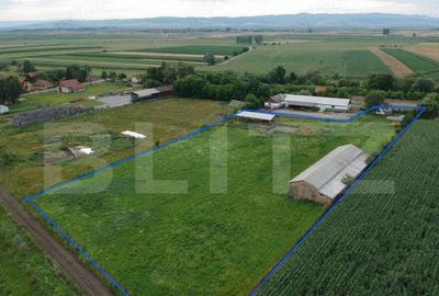 Teren Pretabil Investitie, zona Covasna-Sf.Gheorghe, 12.000 - 2