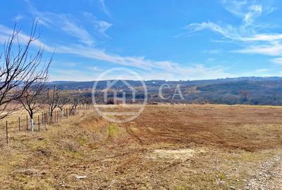 Teren 130.000 mp de vanzare in Paleu, Oradea - 2