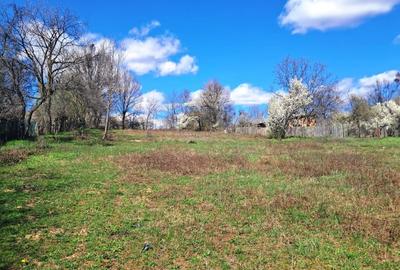 Teren Construcții intravilan de 2592 mp, în Polovragi - 2