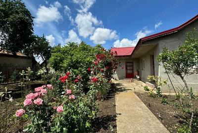 Casa de vanzare in Movila Banului , judetul Buzau - 3