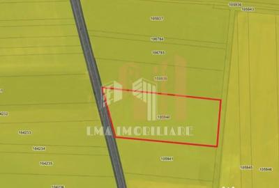 Teren de 14450 mp, în Feldioara - 8