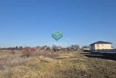 Teren Corbeanca - Tamasi - 1.163 mp - 7