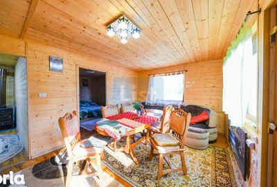 Casă cu 2 camere cu Teren 3100 Mp în Cornești - 13