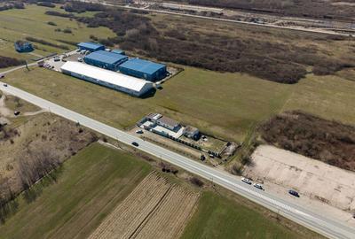 Teren agricol extravilan de 7194 mp, în Păltiniș - 7