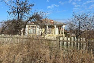 Casa 4 camere Com. Tifesti - 2