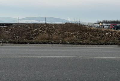 Teren de 10000 mp, în Nicolae Bălcescu - 4