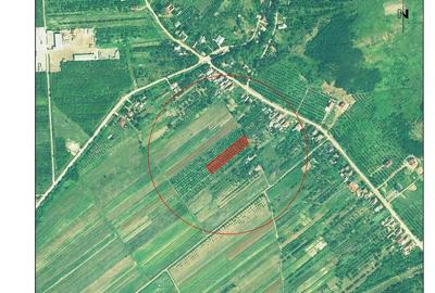 Teren de 2493 mp, în Central