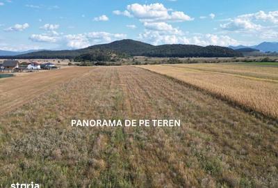 Teren de 30000 mp, în Sânpetru
