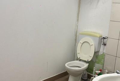 Spațiu comercial, de 150 mp, în Borș - 3
