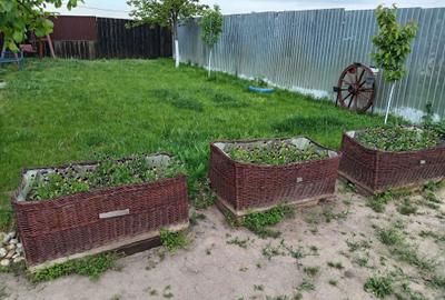 Casă cu 4 camere în Segarcea-Vale